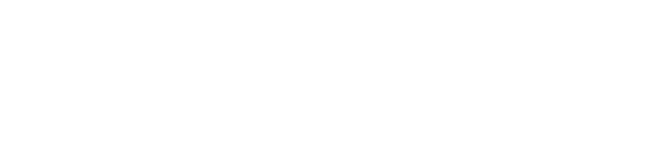 LACROSSE POLSKA Logo